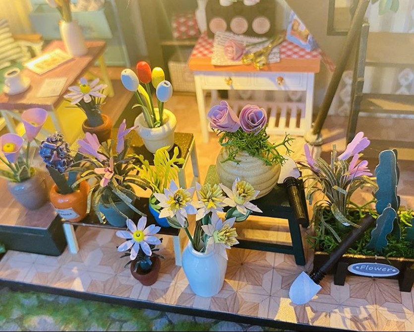 M2322 达西花房